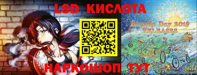 индика Славгород