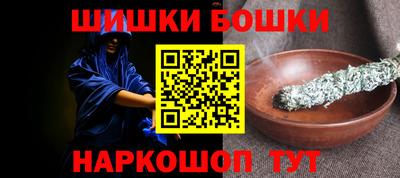 индика Славгород