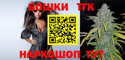 индика Славгород