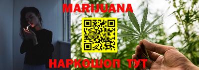 индика Славгород
