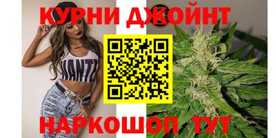 индика Славгород
