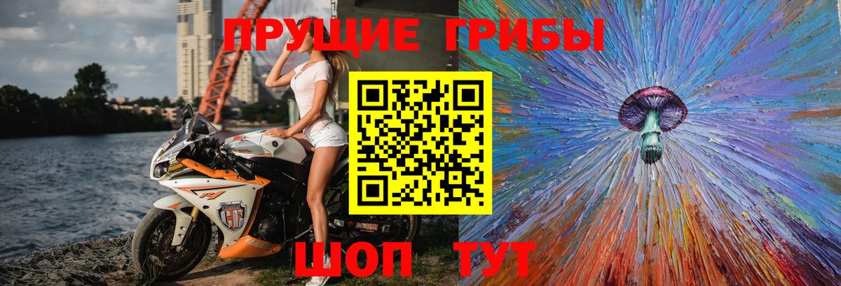 Новоалтайск  Псилоцибиновые грибы прущие грибы  купить наркоту  Галлюциногенные грибы мицелий  Вход с VPN 